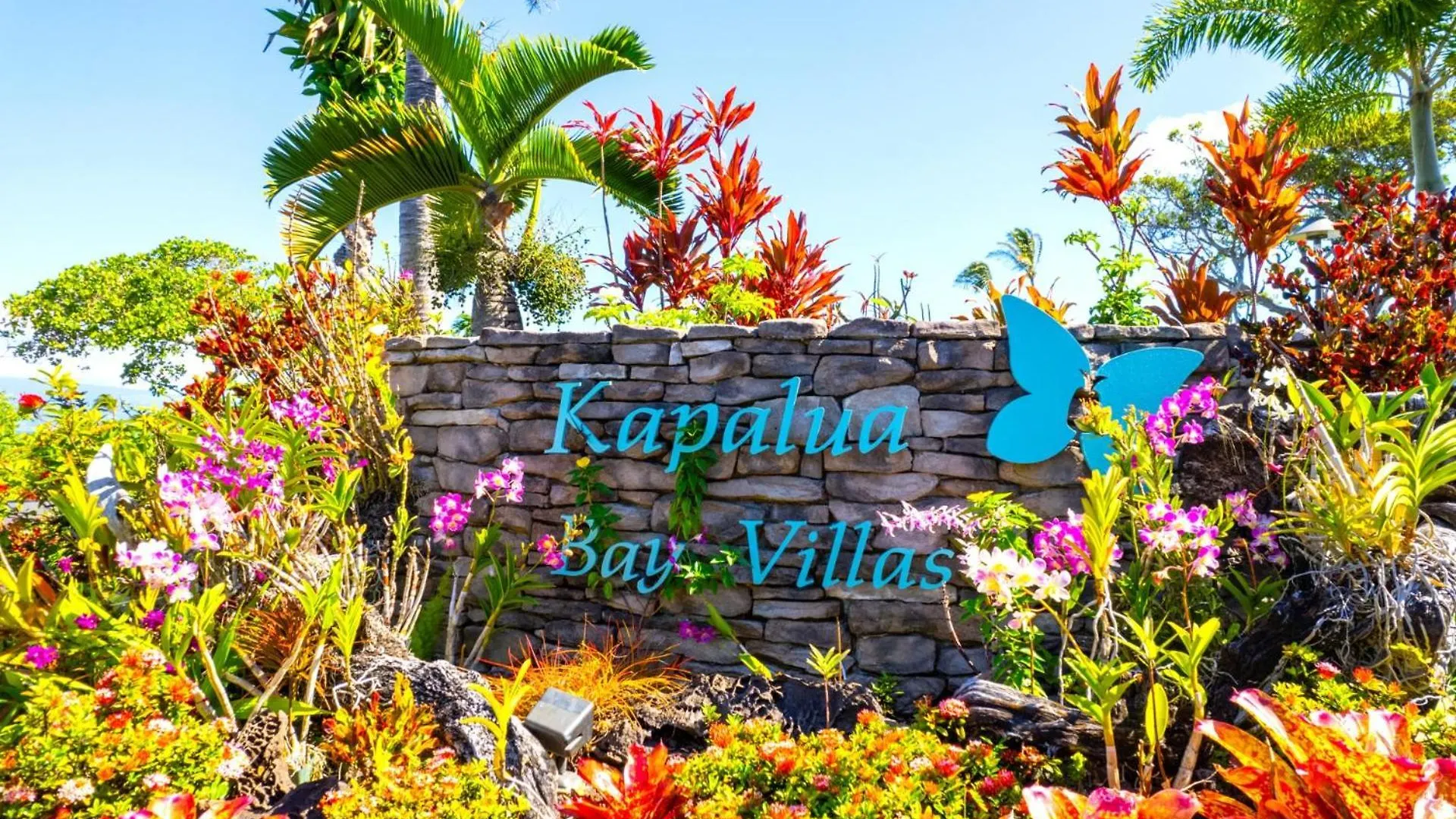 Spacious 4-Bedroom Kapalua Bay Collection - Multi Unit Listing - Same Floor - Ocean Views - 2 Free Rental Cars Kbv-31G432B2 0*,  米国